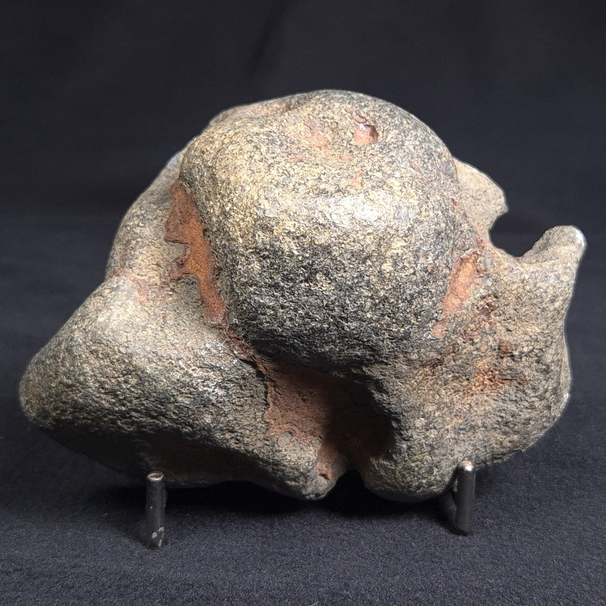 VIVIANITE NODULE, Australia XVI001