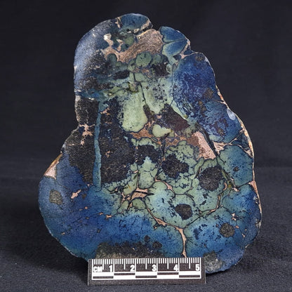 VIVIANITE NODULE, Australia XVI002