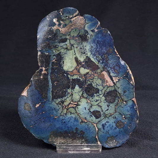 VIVIANITE NODULE, Australia XVI002