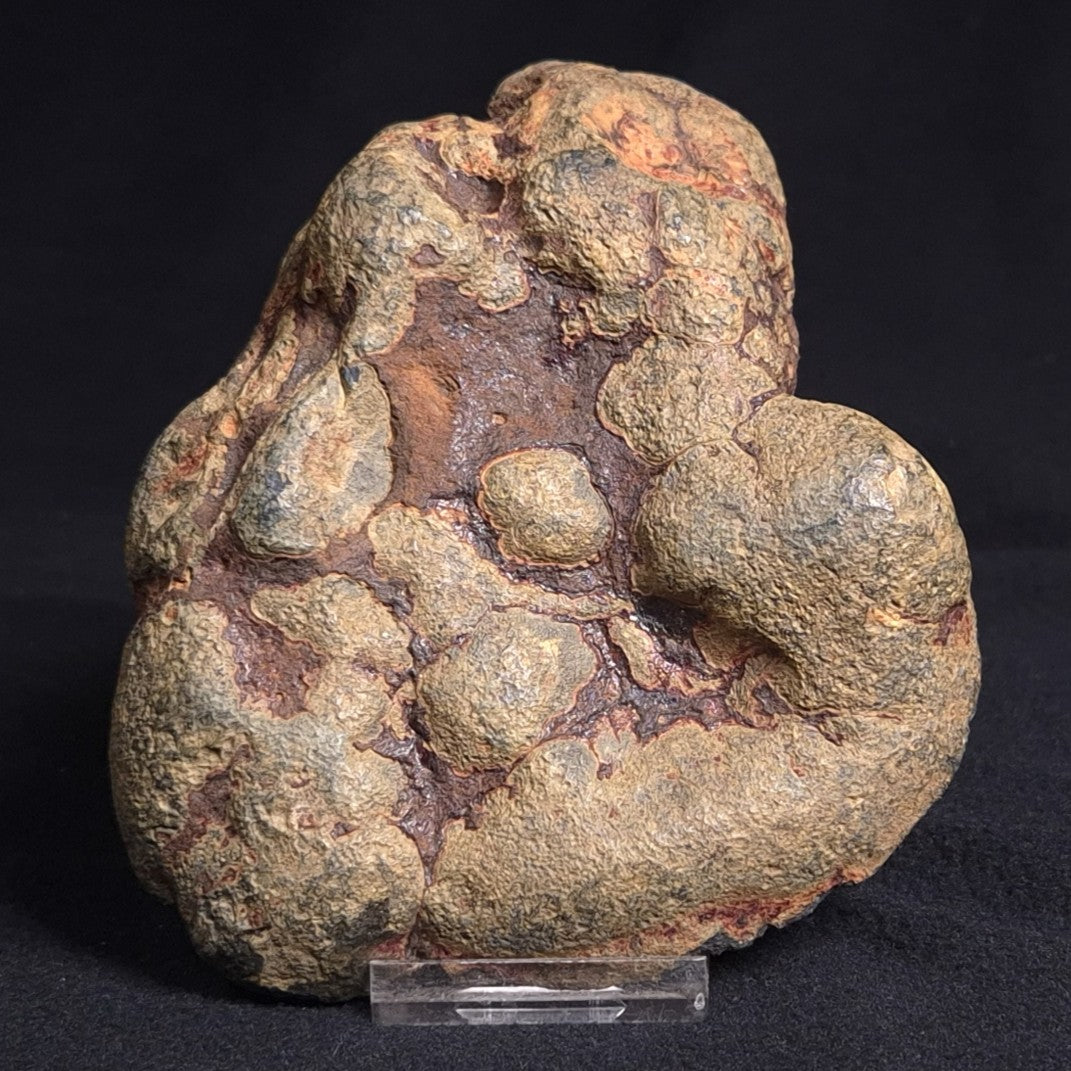 VIVIANITE NODULE, Australia XVI002