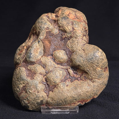 VIVIANITE NODULE, Australia XVI002