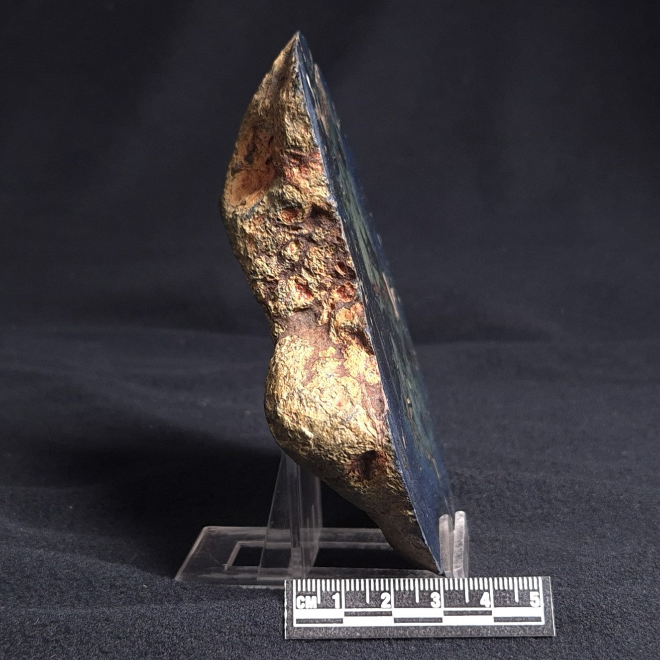 VIVIANITE NODULE, Australia XVI002