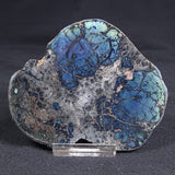 VIVIANITE NODULE, Australia XVI006