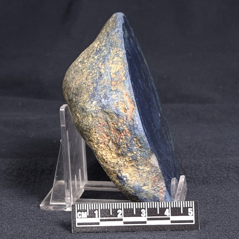 VIVIANITE NODULE, Australia XVI007