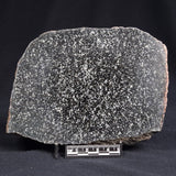 TRANQUILLITYITE, Australia ZTQ007