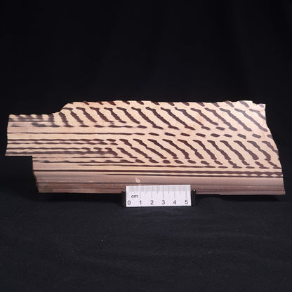 ZEBRA STONE, Australia ZZS001
