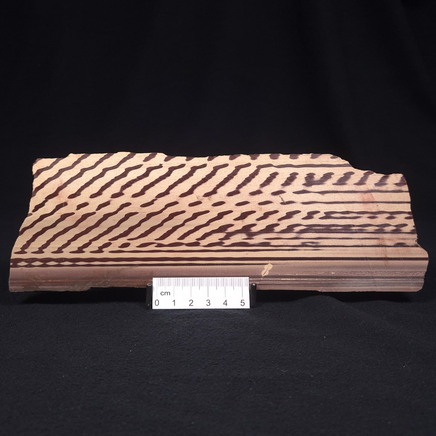 ZEBRA STONE, Australia ZZS005