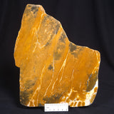 PILBARIA PERPLEXA STROMATOLITE, Australia ZPP001