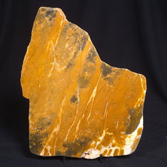 PILBARIA PERPLEXA STROMATOLITE, Australia ZPP001