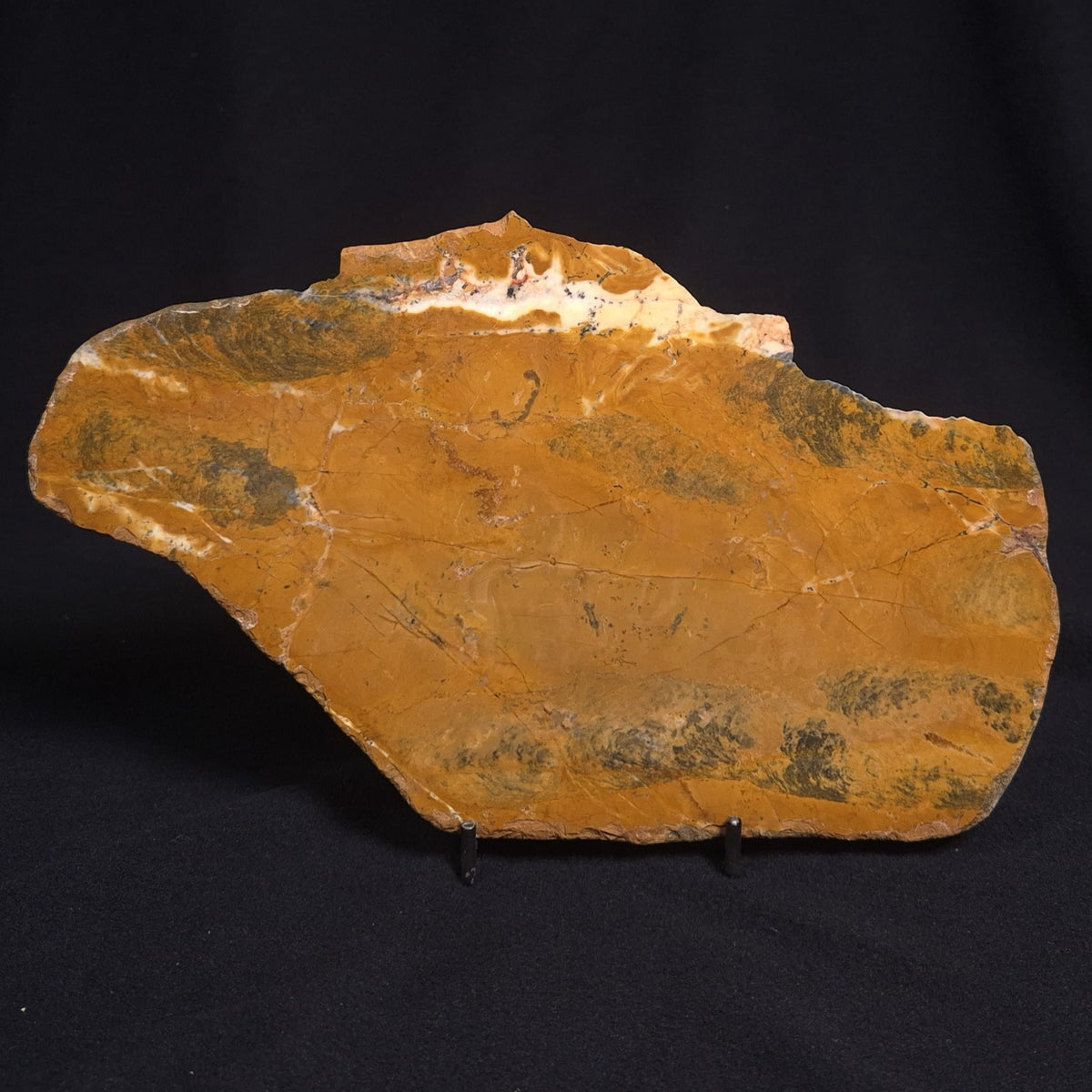 PILBARIA PERPLEXA STROMATOLITE, Australia ZPP002 – Crystal World ...