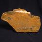 PILBARIA PERPLEXA STROMATOLITE, Australia ZPP002