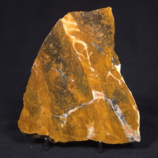 PILBARIA PERPLEXA STROMATOLITE, Australia ZPP005