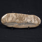 COTHAM MARBLE STROMATOLITE, England ZCM004