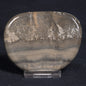 COTHAM MARBLE STROMATOLITE, England ZCM005