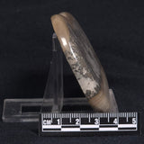 COTHAM MARBLE STROMATOLITE, England ZCM007