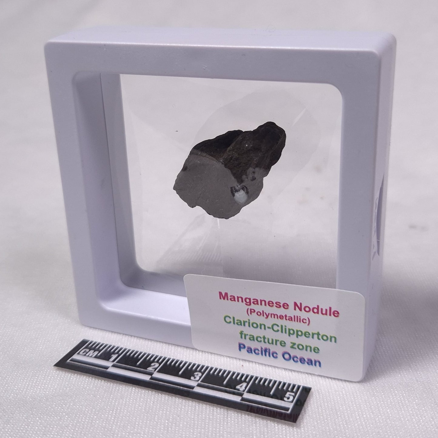 MANGANESE NODULE (POLYMETALLIC), Pacific Ocean XMN001
