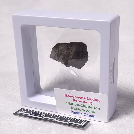 MANGANESE NODULE (POLYMETALLIC), Pacific Ocean XMN002