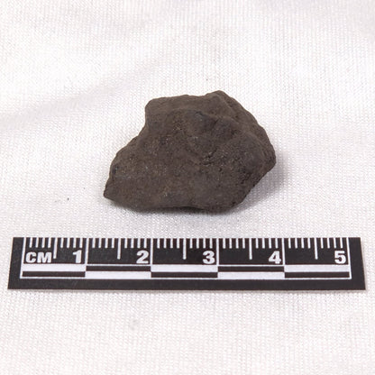 MANGANESE NODULE (POLYMETALLIC), Pacific Ocean XMN002