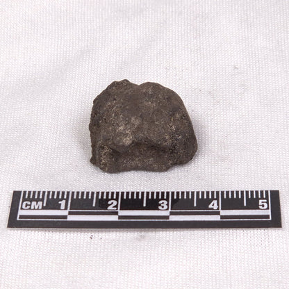 MANGANESE NODULE (POLYMETALLIC), Pacific Ocean XMN003