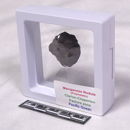 MANGANESE NODULE (POLYMETALLIC), Pacific Ocean XMN004