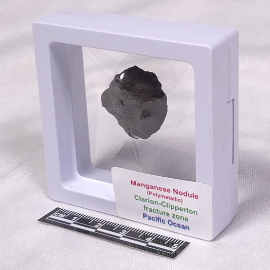 MANGANESE NODULE (POLYMETALLIC), Pacific Ocean XMN004