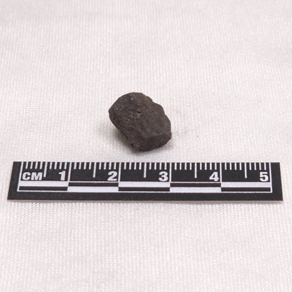 MANGANESE NODULE (POLYMETALLIC), Pacific Ocean XMN005