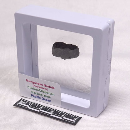 MANGANESE NODULE (POLYMETALLIC), Pacific Ocean XMN008