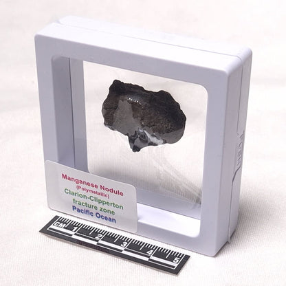 MANGANESE NODULE (POLYMETALLIC), Pacific Ocean XMN009