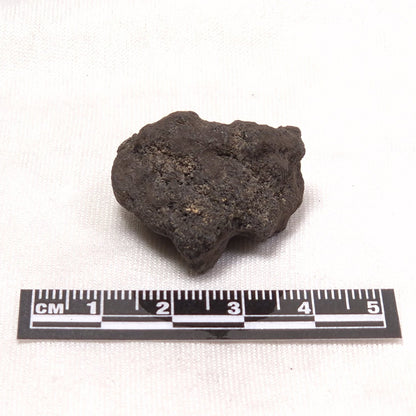 MANGANESE NODULE (POLYMETALLIC), Pacific Ocean XMN009