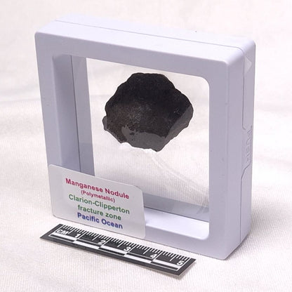 MANGANESE NODULE (POLYMETALLIC), Pacific Ocean XMN010