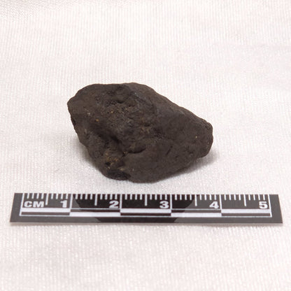 MANGANESE NODULE (POLYMETALLIC), Pacific Ocean XMN010
