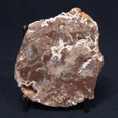 MADIGANITES MAWSONI STROMATOLITE, Cambrian, Australia ZMM013