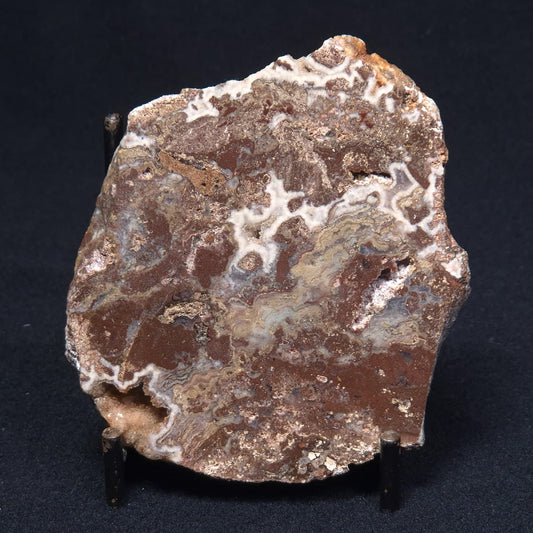 MADIGANITES MAWSONI STROMATOLITE, Cambrian, Australia ZMM013