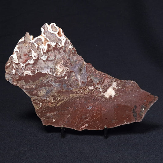 MADIGANITES MAWSONI STROMATOLITE, Cambrian, Australia ZMM014