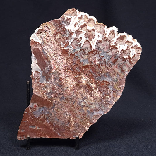 MADIGANITES MAWSONI STROMATOLITE, Cambrian, Australia ZMM015