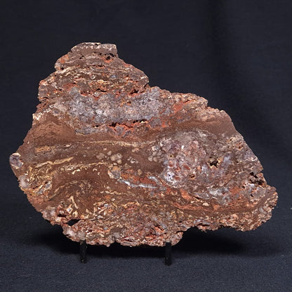 MADIGANITES MAWSONI STROMATOLITE, Cambrian, Australia ZMM016