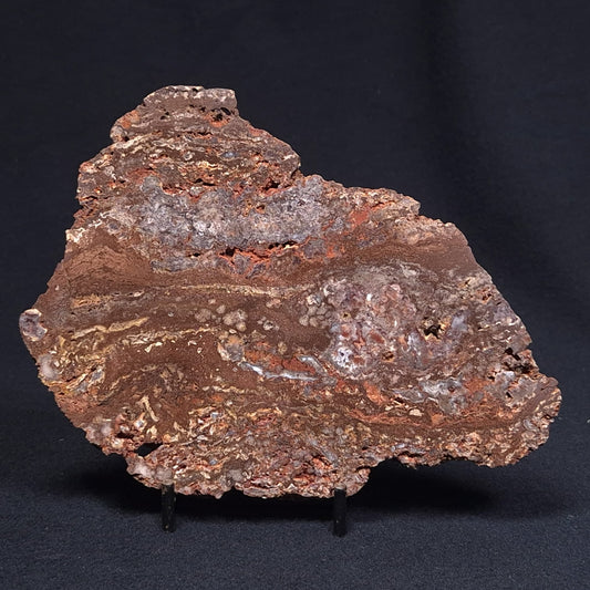 MADIGANITES MAWSONI STROMATOLITE, Cambrian, Australia ZMM016