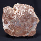 MADIGANITES MAWSONI STROMATOLITE, Cambrian, Australia ZMM017