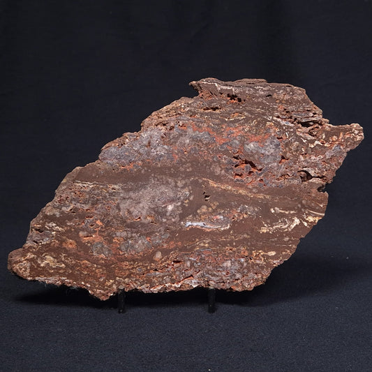 MADIGANITES MAWSONI STROMATOLITE, Cambrian, Australia ZMM019