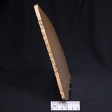 TUNGUSSIA INNA STROMATOLITE, Late Precambrian, Australia ZTG008