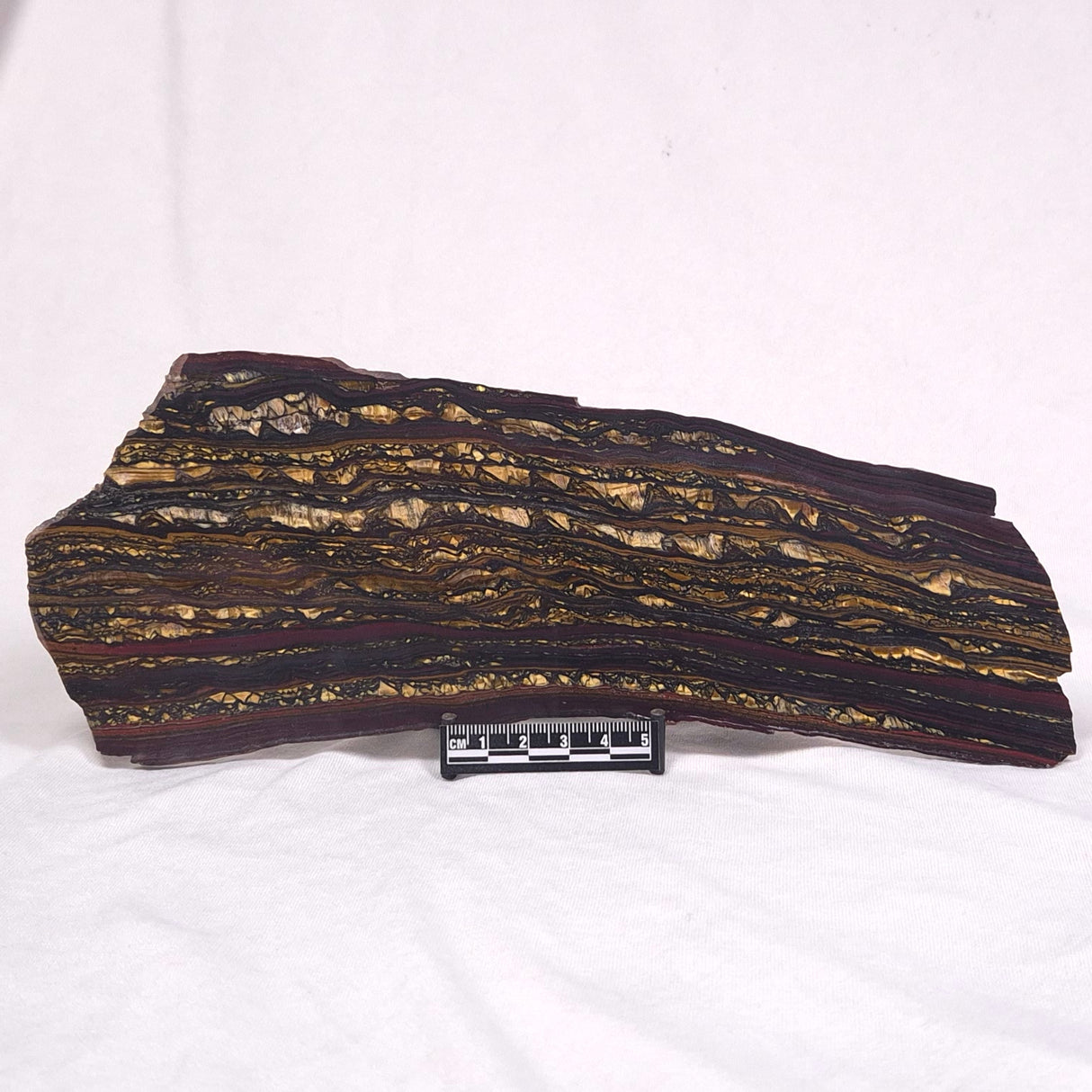 BANDED TIGER IRON MICROBIALITE, Archean, Australia ZBI034