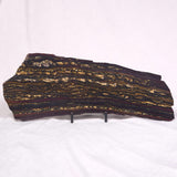 BANDED TIGER IRON MICROBIALITE, Archean, Australia ZBI034
