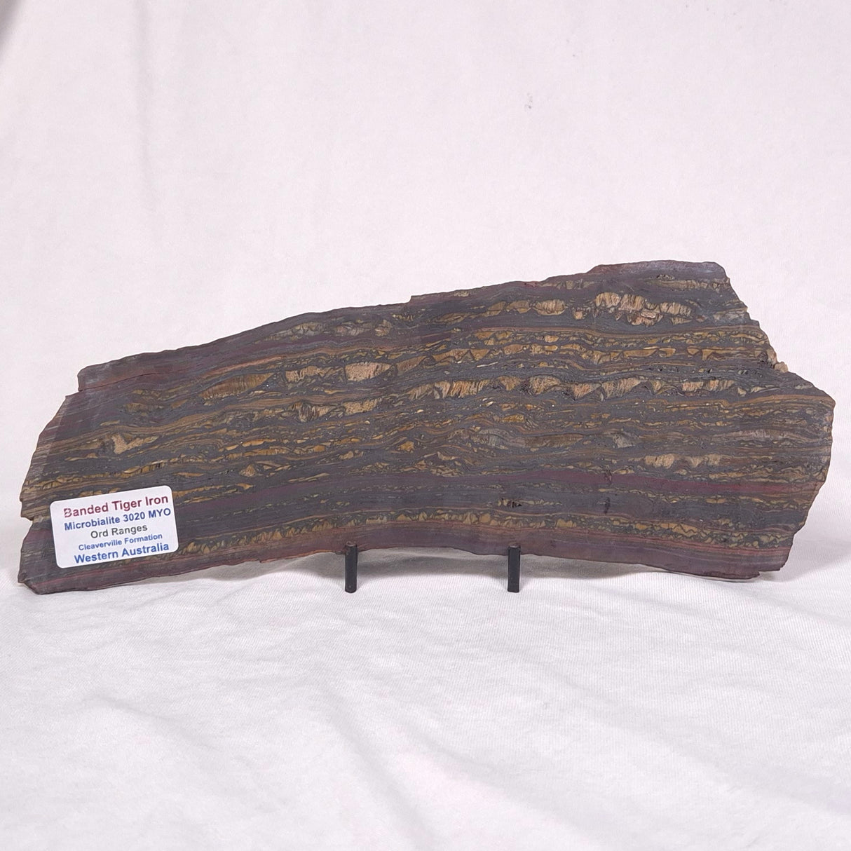 BANDED TIGER IRON MICROBIALITE, Archean, Australia ZBI034