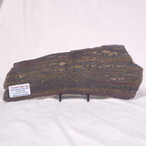 BANDED TIGER IRON MICROBIALITE, Archean, Australia ZBI034