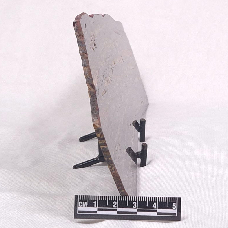 BANDED TIGER IRON MICROBIALITE, Archean, Australia ZBI034