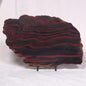 BANDED TIGER IRON MICROBIALITE, Archean, Australia ZBI036