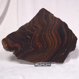BANDED TIGER IRON MICROBIALITE, Archean, Australia ZBI038