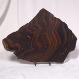 BANDED TIGER IRON MICROBIALITE, Archean, Australia ZBI038