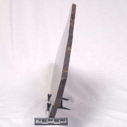 BANDED TIGER IRON MICROBIALITE, Archean, Australia ZBI038