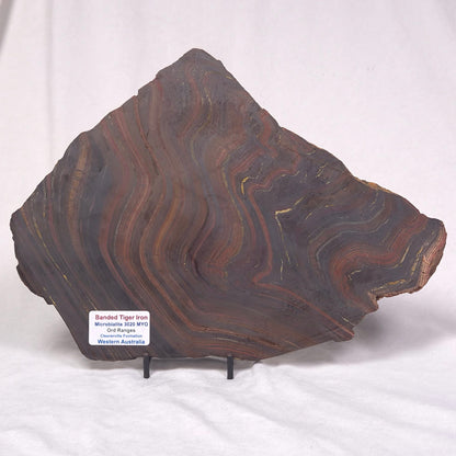 BANDED TIGER IRON MICROBIALITE, Archean, Australia ZBI038